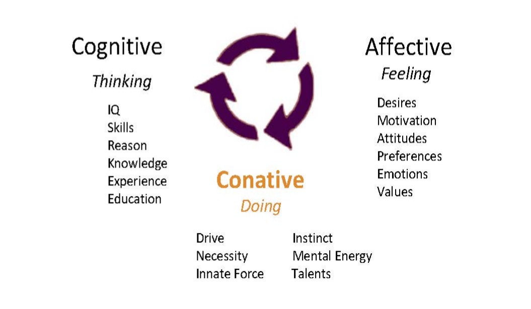 Everyone is ‘Thinkfeeling’ these days? Find about this new consumer way ...